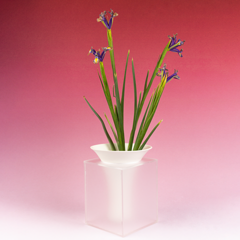 4 Colors | Ceramic Acrylic Vase - HYPEINDAHOUSE