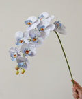 Multi-color Faux Phalaenopsis - HYPEINDAHOUSE