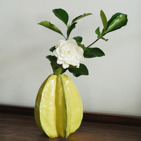 Poplar Peach Shape Vase - HYPEINDAHOUSE