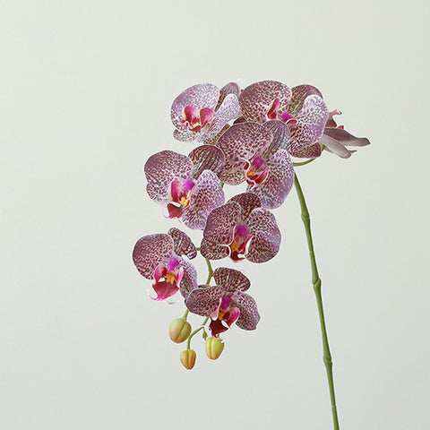 Multi-color Faux Phalaenopsis - HYPEINDAHOUSE