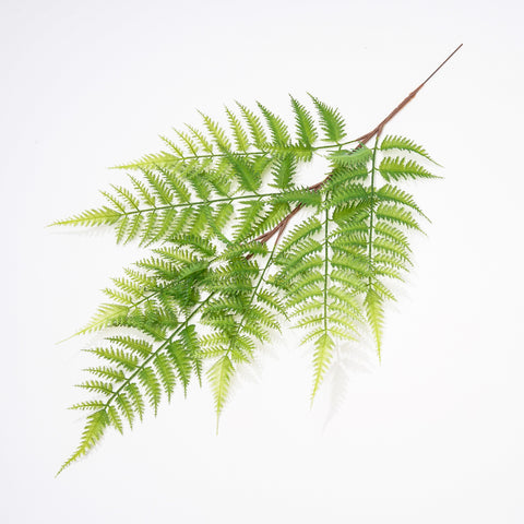Simulation Plants Decoration Single Fern Leaf