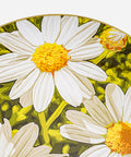 Daisy Floral Wall Art - HYPEINDAHOUSE