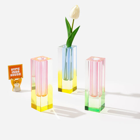 Colorful Vibe Acrylic Decor Vase - HYPEINDAHOUSE