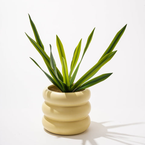 Creative Circle Ceramic Vase - HYPEINDAHOUSE